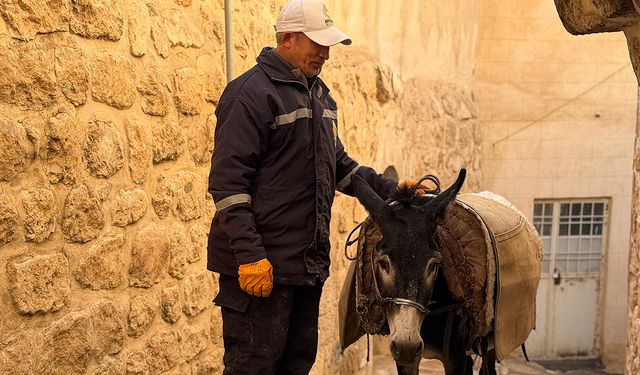 ’Kadrolu’ eşekleri emekli edecek proje hayata geçiyor