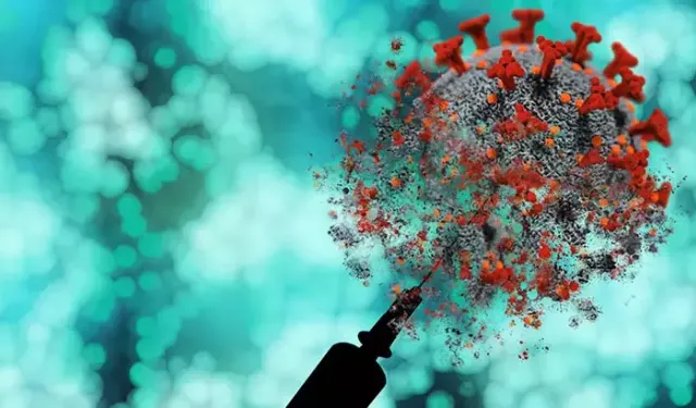 'Maymun çiçeğ'nin yeni varyantı tespit edildi