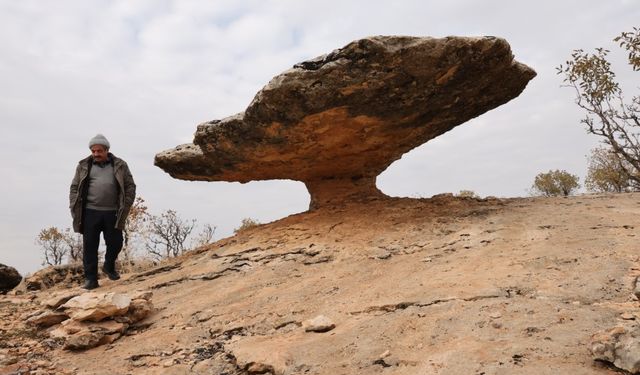 Buzul çağ kalıntısı: Tam 6 milyon yıl önceye ait