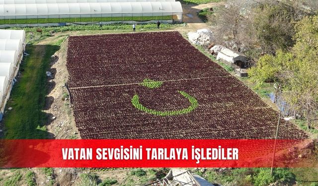 Vatan sevgisini tarlaya işlediler