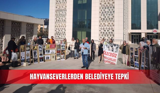 Hayvanseverlerden belediyeye tepki