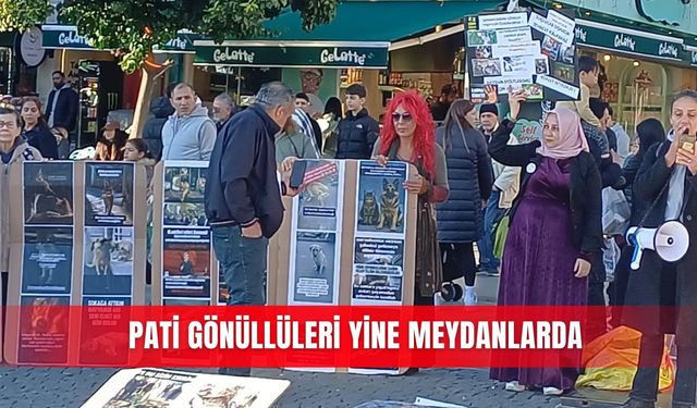 Pati gönüllüleri yine meydanlarda