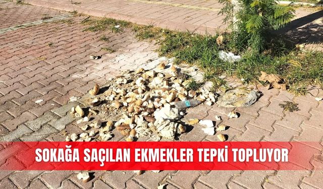 Sokağa saçılan ekmekler tepki topluyor