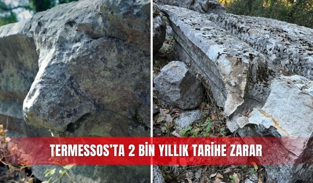 2 bin yıllık aslan başlı çörten kırıldı