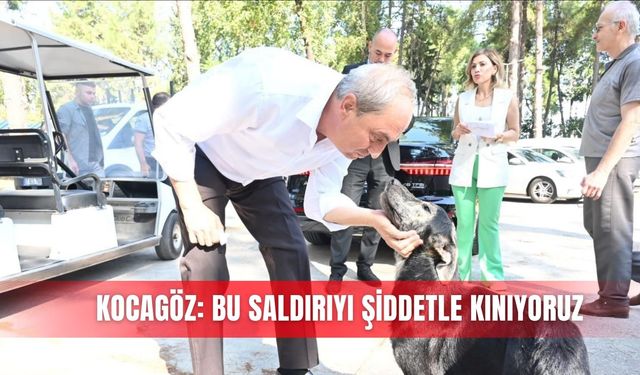Kocagöz: Bu saldırıyı şiddetle kınıyoruz