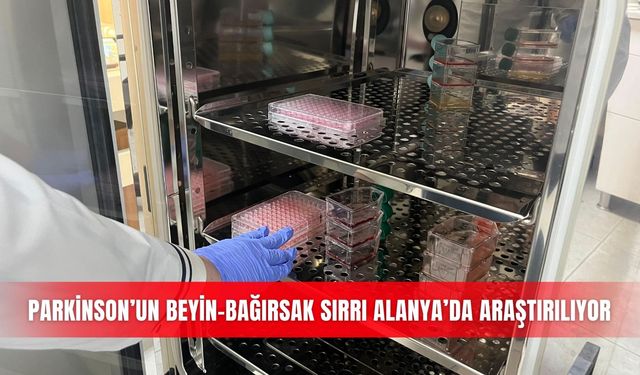 Parkinson’un beyin-bağırsak sırrı Alanya’da araştırılıyor