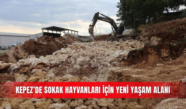 Kepez’de sokak hayvanları için yeni yaşam alanı