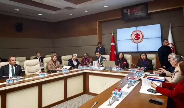 TBMM'de Suça Sürüklenen Çocuklara İlişkin Araştırma Komisyonu toplandı