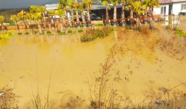 İzmir sağanağa teslim: Yollar ve tarım arazileri sular altında