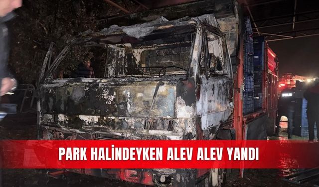 Park halindeyken alev alev yandı
