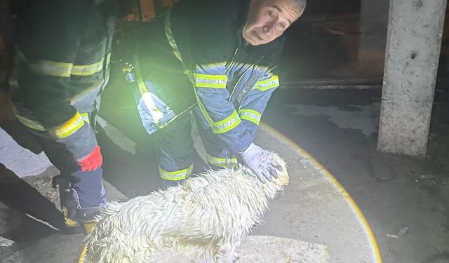 Isparta'da gece yarısı kurtarma operasyonu