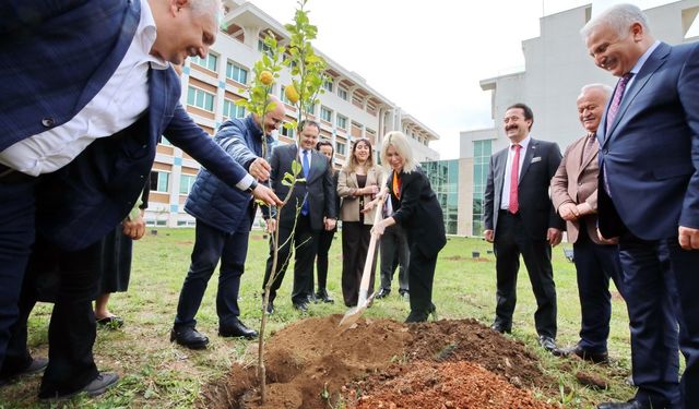 AÜ İlahiyat Fakültesi bahçesine 100 ağaç dikildi