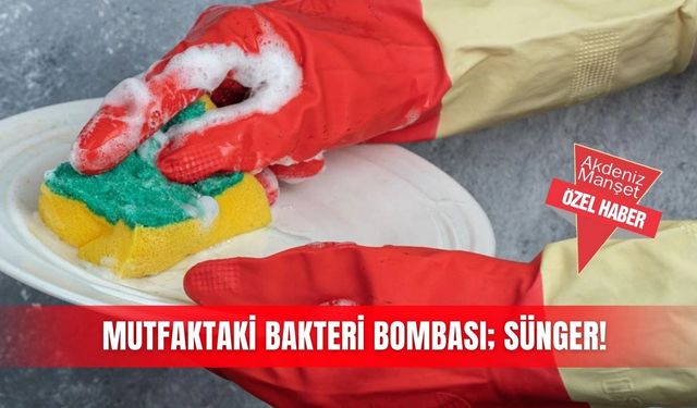 Mutfaktaki bakteri  bombası; Sünger!