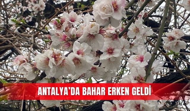 Antalya’da bahar erken geldi