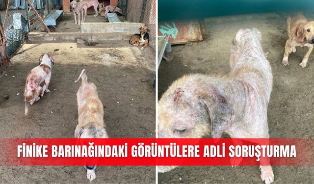 Finike barınağındaki görüntülere adli soruşturma