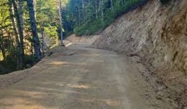 GÜNDOĞMUŞ ORMAN İŞLETME MÜDÜRLÜĞÜ YENİ ORMAN YOLU YAPIM İŞİ