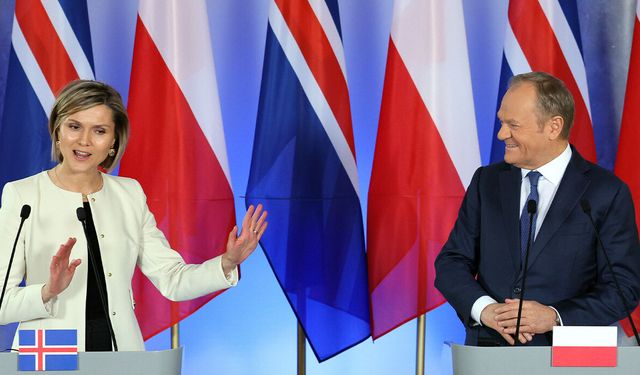 İzlanda, AB üyeliği müzakereleri için referanduma gidecek