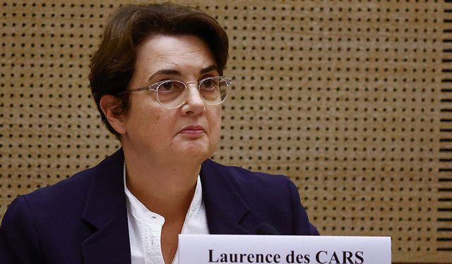 Louvre Müzesi'nde üst düzey istifa