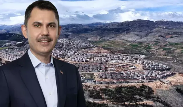 "Sadece yuvalar değil, ekmek tekneleri de inşa ettik"