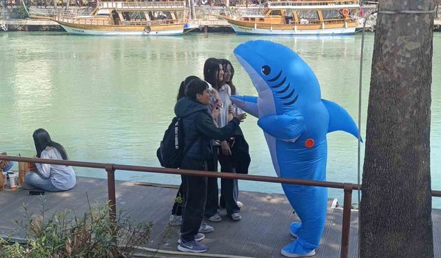 Manavgat sokaklarında köpek balığı!