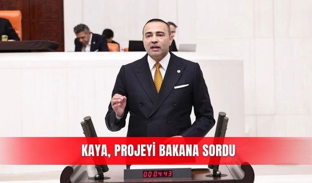Kaya, projeyi Bakana sordu