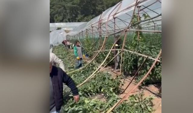 Kumluca'da hortum seraları vurdu, 10 dönüm alan zarar gördü