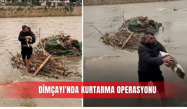 Dimçayı'nda kurtarma operasyonu