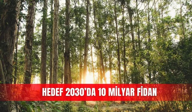 Hedef 2030’da 10 milyar fidan