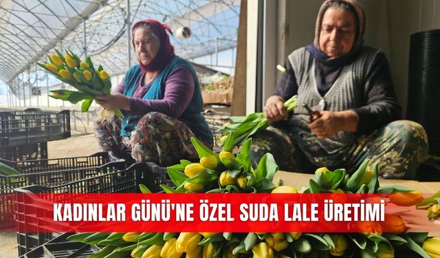 Kadınlar Günü'ne özel suda lale üretimi