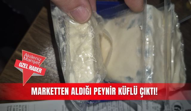 Marketten aldığı  peynir küflü çıktı!