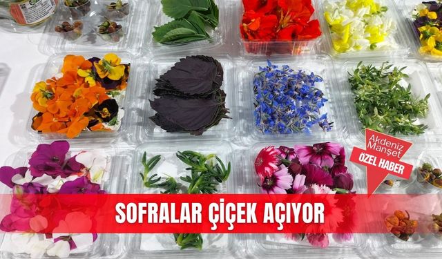 Sofralar çiçek açıyor