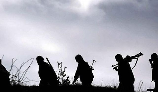 Terör örgütü PYD/SDG'nin elebaşlarından Salih Müslim öldü