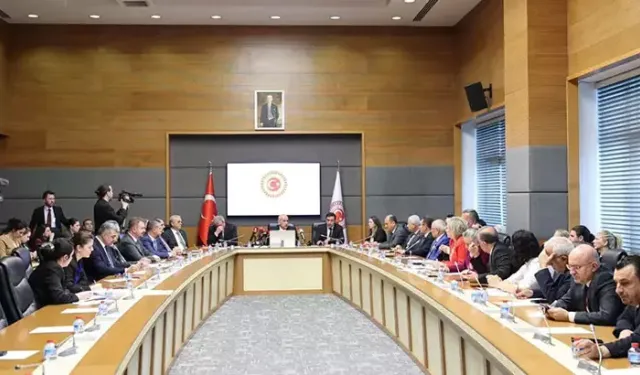 "Sahipsiz sokak hayvanlarının yüzde 78'i toplandı"