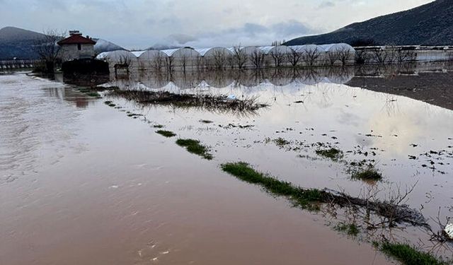Elmalı'da sağanak nedeniyle dereler taştı