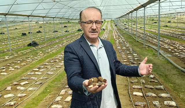 Antalya’da tarımda devrim