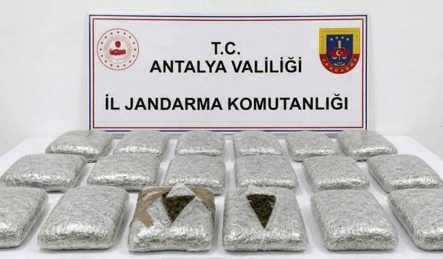 Döşemealtı'nda 30  kilogram skunk ele geçirildi
