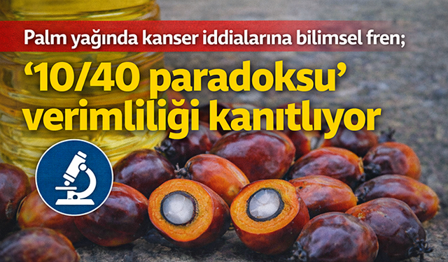 Palm yağında kanser iddialarına bilimsel fren; ‘10/40 paradoksu’ verimliliği kanıtlıyor