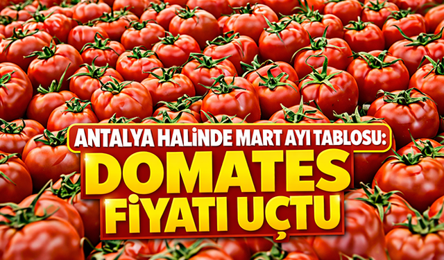 Antalya halinde mart ayı tablosu: Domates fiyatı uçtu