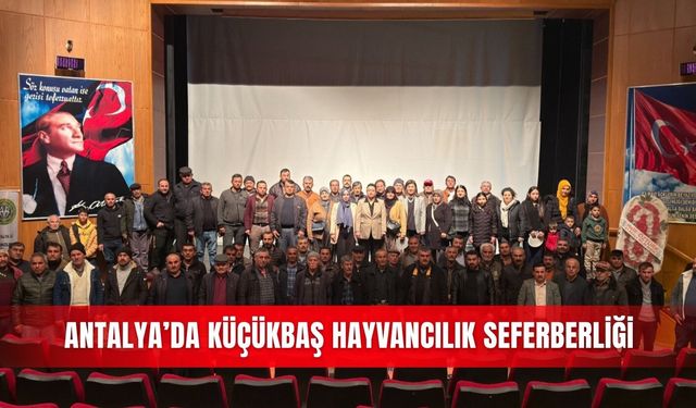 Antalya’da küçükbaş hayvancılık seferberliği