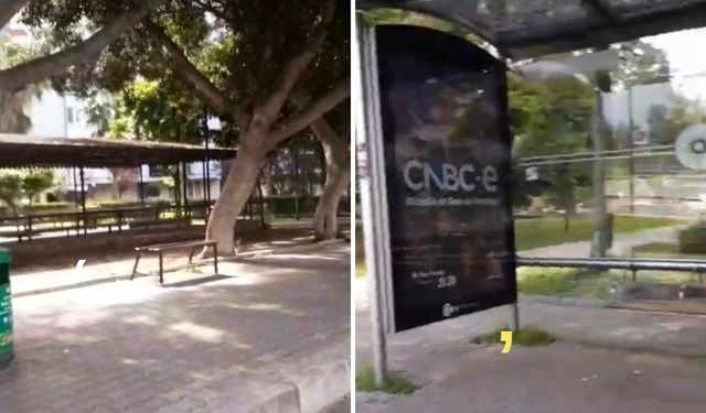 Engelliler dert küpü