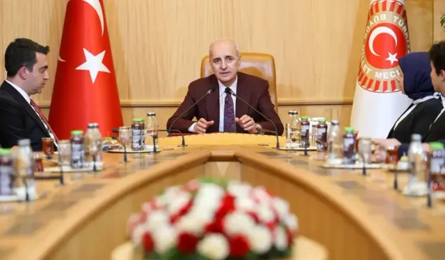 "Türk diasporası, Türkiye'nin gücünün artmasıyla paralel bir şekilde gelişiyor"