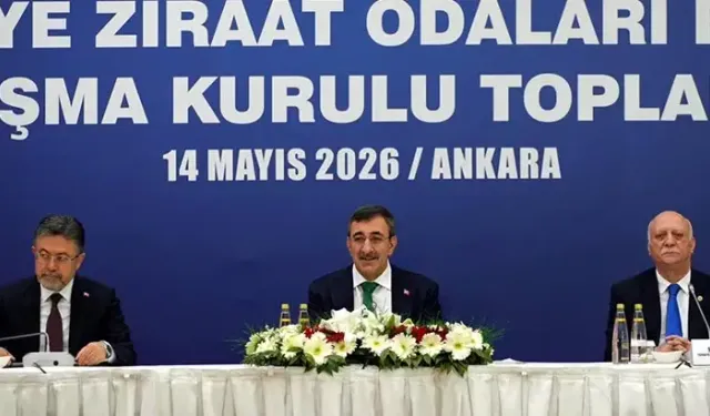 Cevdet Yılmaz: Tarımda yükselen yaş ortalamasını geriye çevirmemiz gerekiyor