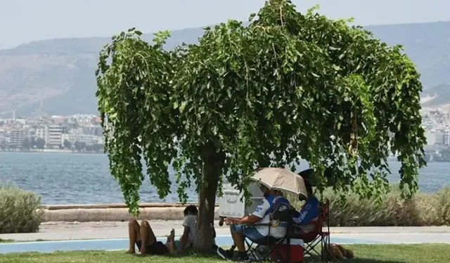'Yazın ekstrem sıcaklıklar yaşanması mümkün'