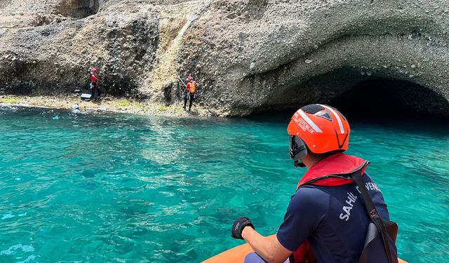 Antalya'da Akdeniz foklarının yeni yaşam alanı keşfedildi