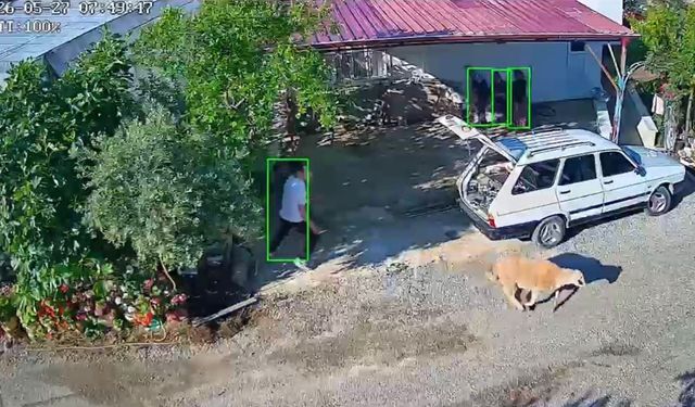 Mersin'de kaçan kurbanlıklar kameralara yansıdı
