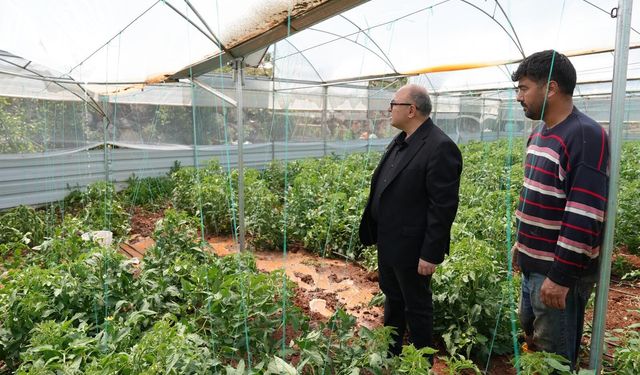 Mersin'de dolu tarım alanlarına zarar verdi