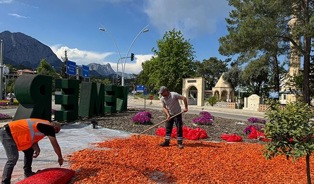 Kemer'de peyzaj uygulamaları