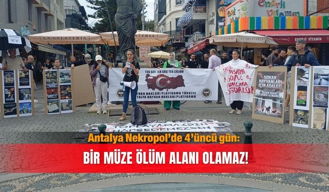 Antalya Nekropol’de 4’üncü gün: Bir müze ölüm alanı olamaz!