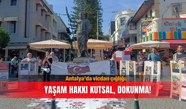 Antalya’da vicdan çığlığı: Yaşam hakkı kutsal, dokunma!