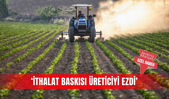 ‘İthalat baskısı üreticiyi ezdi’